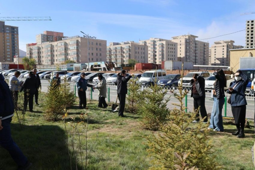 “Алтай” хотхоны автобусны буудал, 18-р хороо, 50-р байрны урд талбайд бичил цэцэрлэгт хүрээлэн байгууллаа